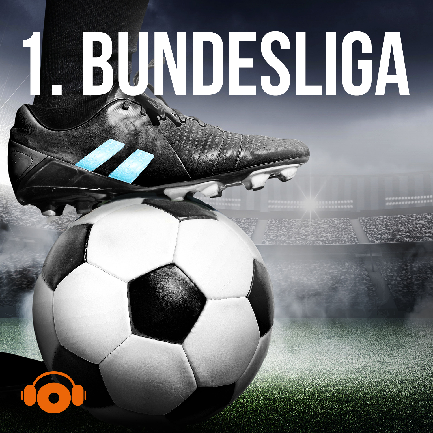 1 Bundesliga Fussball Auf Meinsportpodcast De