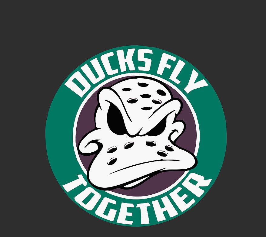 ducks fly together