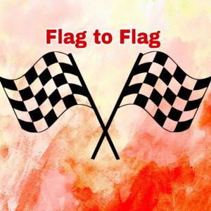 Flag to Flag MotoGP